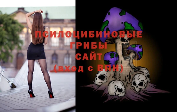 эйфоретик Алексеевка