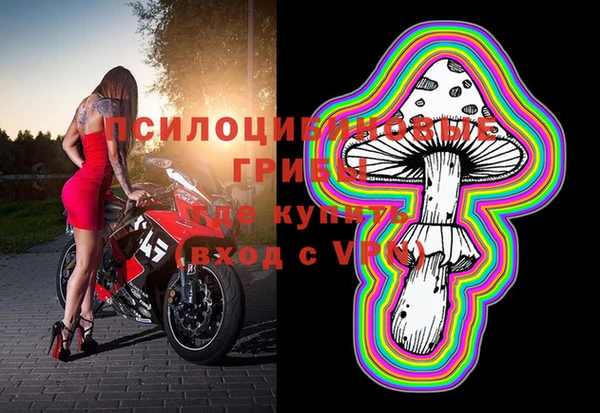 эйфоретик Алексеевка